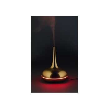 LIVARNO® Ultraschall-Aroma-Diffuser (Gold) - B-Ware Transportschaden Kosmetisch