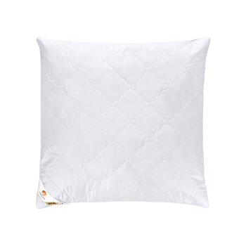 LIVARNO® Kopfkissen Polygiene®, 80 x 80 cm - B-Ware neuwertig