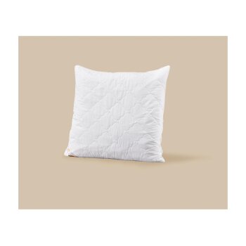 LIVARNO® Kopfkissen Polygiene®, 80 x 80 cm - B-Ware