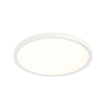 LIVARNO® LED-Deckenleuchte, Ø 29 cm, weiß - B-Ware neuwertig