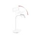 LIVARNO® LED-Tischleuchte - B-Ware