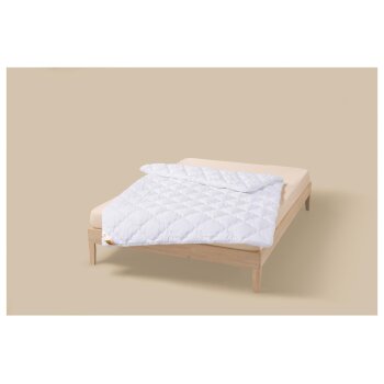 LIVARNO® Polygiene gesteppte Doppeldecke, 140 x 200 cm - B-Ware neuwertig