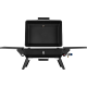 GRILLMEISTER Memphis Gasgrill - B-Ware gut