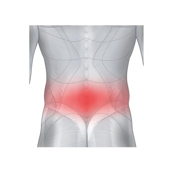 sensiplast® Rückenbandage »Lumbo-Active«, mit Pelotte (Größe L-XXL) - B-Ware gut