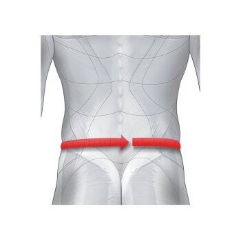 sensiplast® Rückenbandage »Lumbo-Active«, mit Pelotte (Größe L-XXL) - B-Ware gut