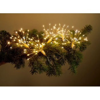 LIVARNO® Lichterkette »Dandelion« - B-Ware
