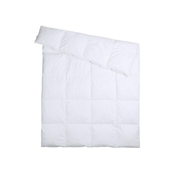 Livarno Home Bettdecke, mit Feder- und Daunenfüllung, 200 x 220 cm - B-Ware neuwertig